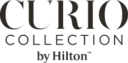 Curio Collection Development Book